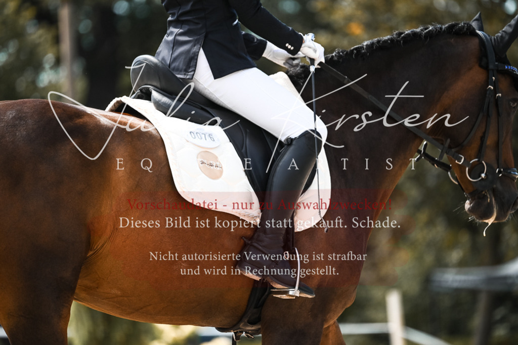 DSC_5746 | Pferde- und Turnierfotografie in Westsachsen. Pferdeportraits, Auftragszeichnungen und intuitive Kunst.