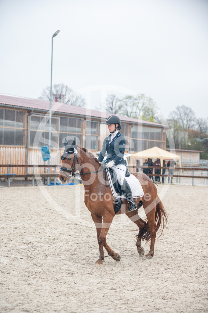 DSC_7359 | sattelsport - Realisiert mit Pictrs.com