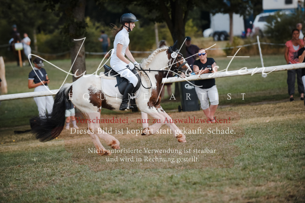 DSC_5372 | Pferde- und Turnierfotografie in Westsachsen. Pferdeportraits, Auftragszeichnungen und intuitive Kunst.