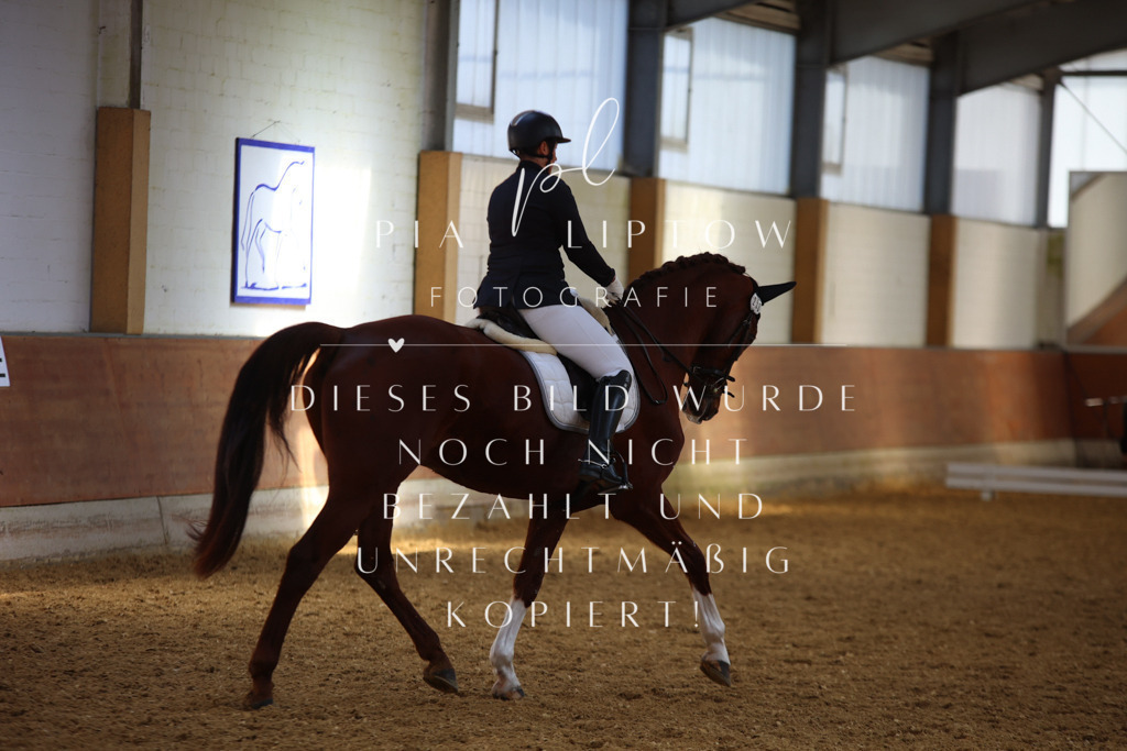 IMGT4859 | pl-fotografie