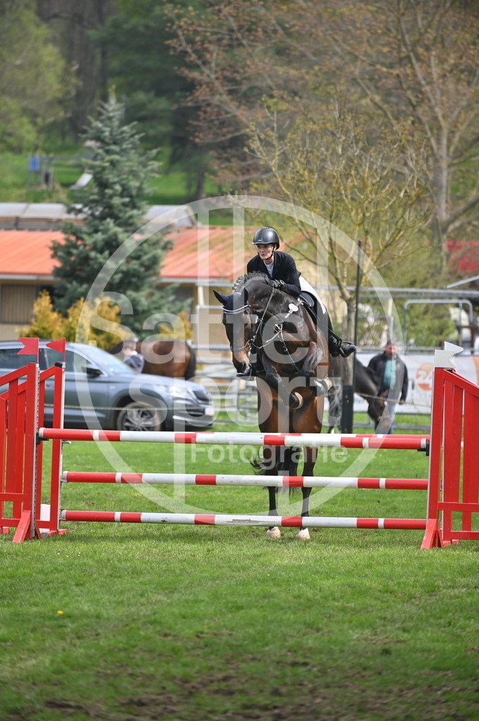 DSC_1709 | sattelsport - Realisiert mit Pictrs.com