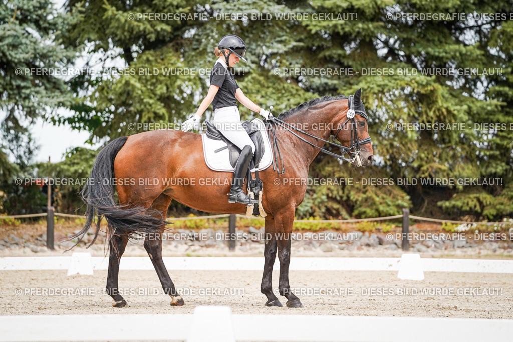 DSC06071 | Pferdegrafie