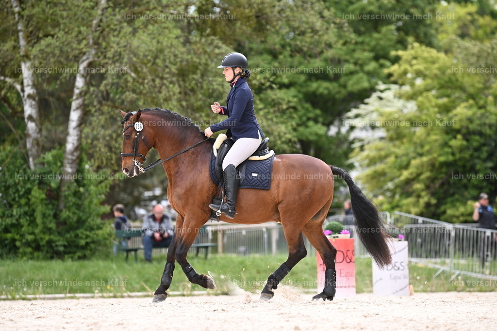 PI26_ST_Sara_Landvogt226_3979.JPG | working equitationturnier fotograf videograf stoibphotography marixx film working equitation deutschland reitsport turnierfotografie eventfotografie equestrian events