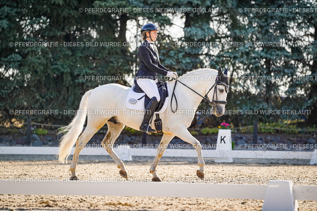 DSC08767 | Pferdegrafie