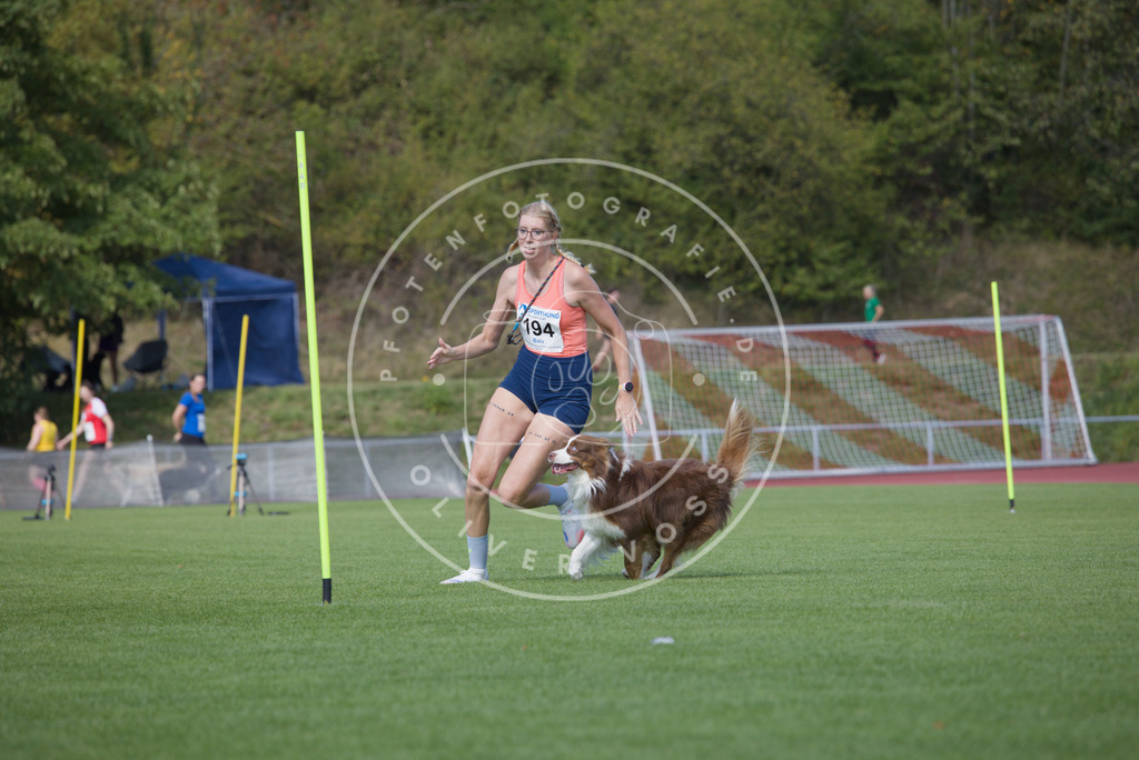 0L8A3440 | Hundefotografie, Tierfotograf, Pfotenfotografie, Fotoshooting Hund, Hunde Portrait, Hundesport, Hundeportraits, Heideshooting, Hunde, Sportfotograf, Hundefotograf, Turnierhundsport, THS,  - Realisiert mit Pictrs.com