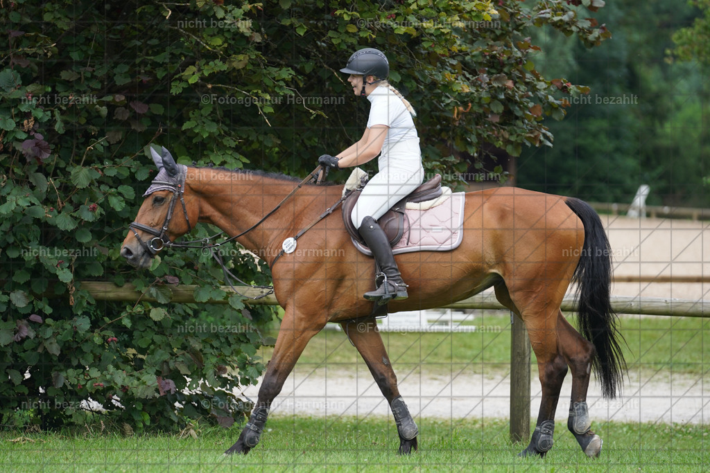 20240706-FAH06327 | Grafing Turnierfotos, Reitverein Ebersberg, Turnierfotografen Bayern, reitsportbilder, Pferdefotograf, reitsportfotograf, Sportbilder, Reitsportfotografie, Fotoagentur Herrmann, Turnierfotograf