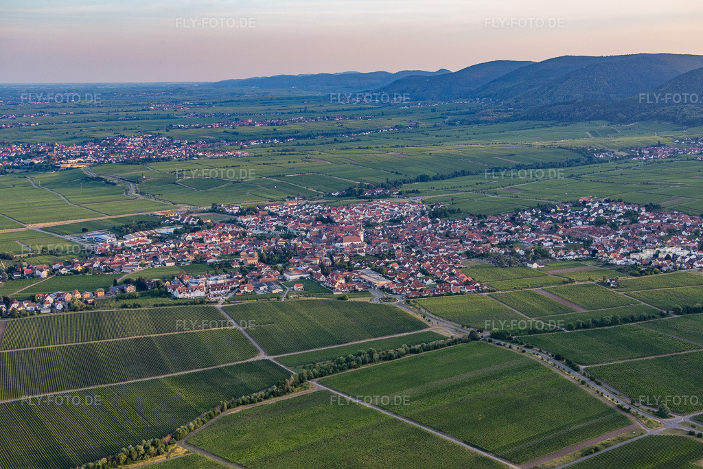 Luftbild: Ortsansicht von Norden in Maikammer im Bundesland Rheinland-Pfalz in Deutschland. Foto: IMG_082764.jpg vom 25.06.2015 durch Werner Riehm/FLY-FOTO.de