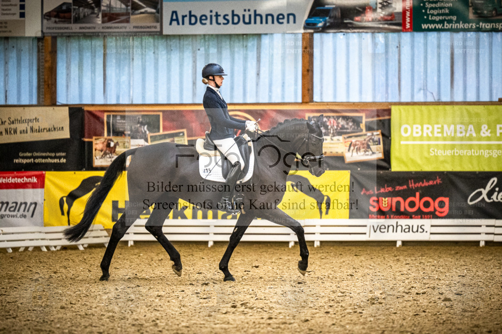 DOS_0044 | Entdecke hochwertige Reitturnierfotos von Foto Oger. Professionell, emotional und authentisch – jetzt Lieblingsmomente im Shop bestellen. - Realisiert mit Pictrs.com