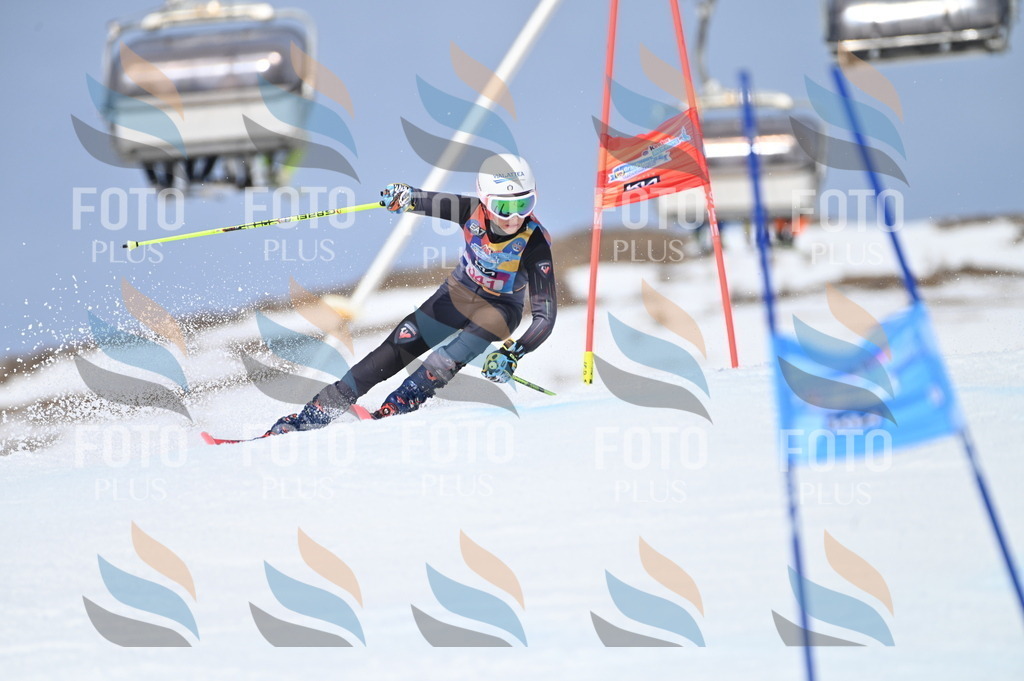 BGV_3456 | holidayphoto