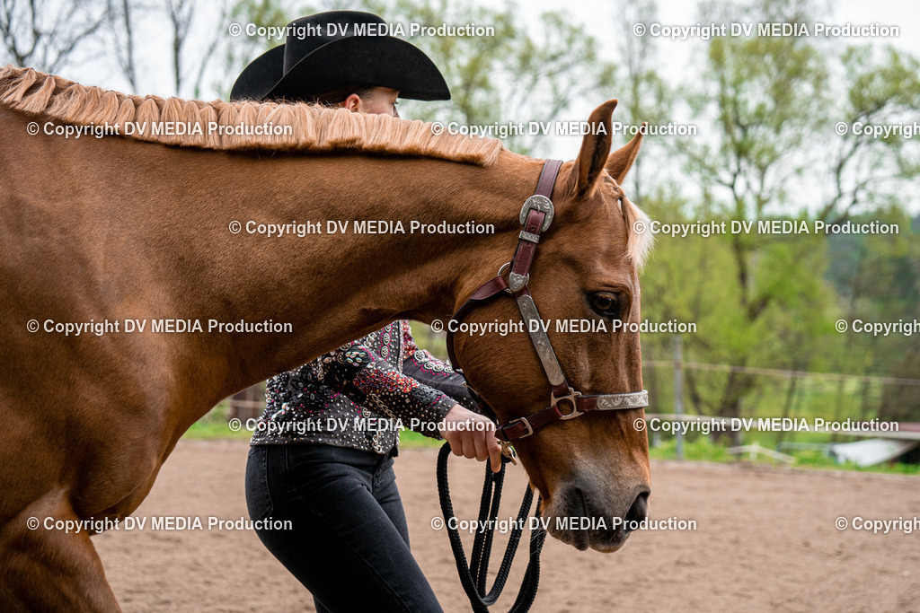 BA300103 | dv-media-shop - Realisiert mit Pictrs.com