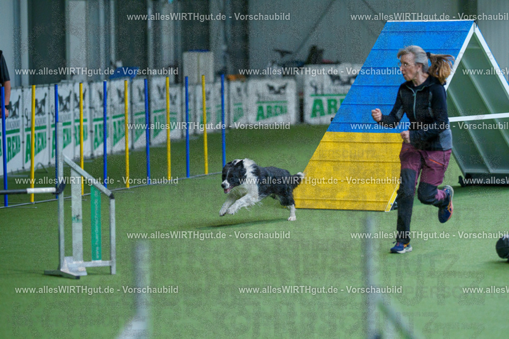 @allesWIRTHgut_Tierfotografie - www.allesWIRTHgut.de - 2604261531-7R505864 | Professionelle Tierfotografie in Mönchengladbach von Daniel Wirth (allesWIRTHgut). Liebevolle & natürliche Bilder von Hunden & Katzen für unvergessliche Erinnerungen.