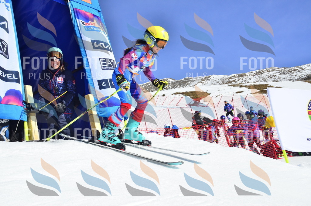 _ELE0039 | holidayphoto