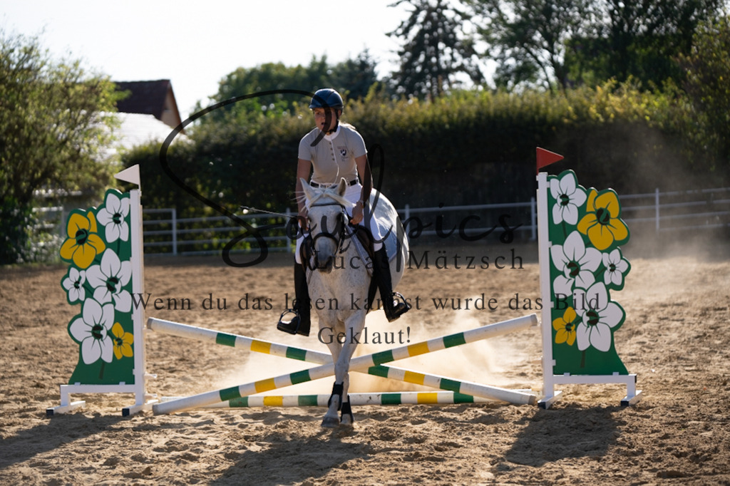 A7V02671 | Pferdefotograf