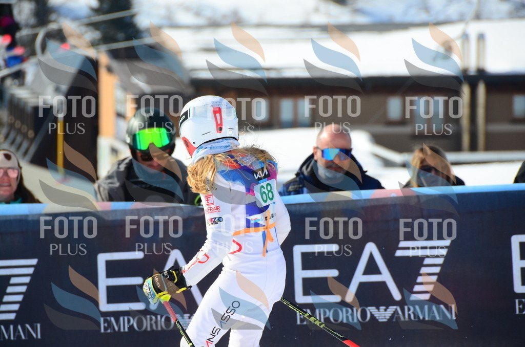 DSC_0392 | holidayphoto