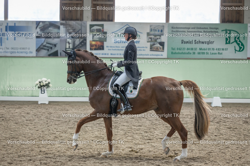 _D5A6471 | Emotionale Pferde- & People-Fotografie rund um Heidelberg, Leimen & Umgebung. Natürliche Fotos von Pferd, Mensch & Familie. Jetzt Termin sichern!
