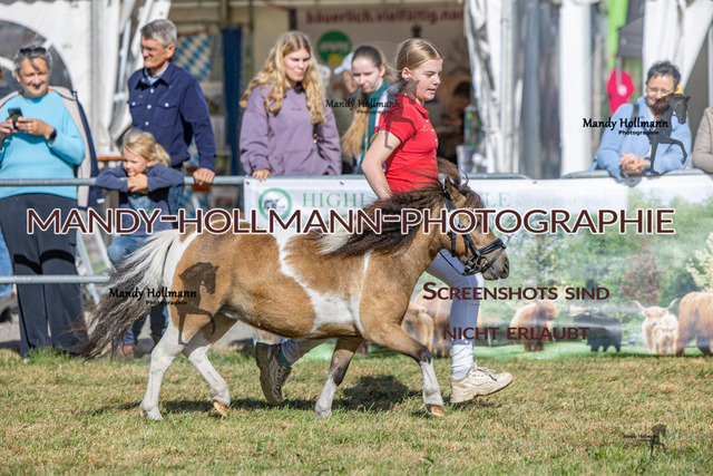 Shet (42 von 314) | mandyhollmannphotographie
