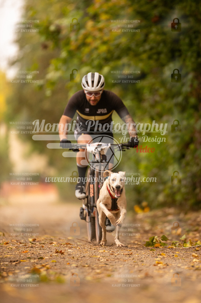 CDLBDB_14_10_2023_Samedi-126 | PayLife