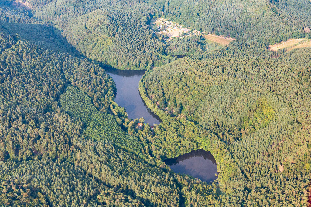 Seehofweiher | Luftbild: Seehofweiher in Erlenbach bei Dahn im Bundesland Rheinland-Pfalz in Deutschland. Foto: IMG_121916.jpg vom 01.08.2020 durch ©2025 Werner Riehm fly-foto.de/copyright - Realisiert mit Pictrs.com
