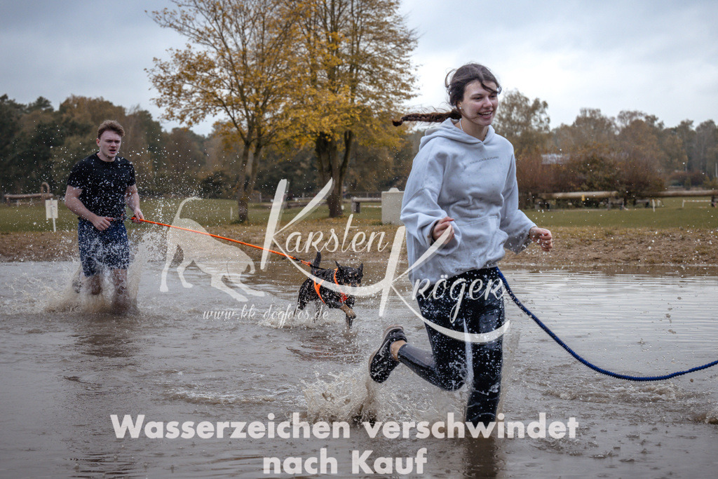 1344_ZZ94773 | kk-dogfotos