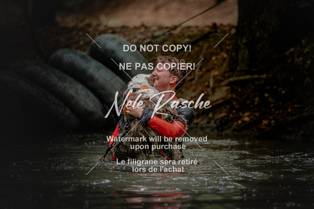 nelerasche_SaWingst1200-1230_406 | nelerasche