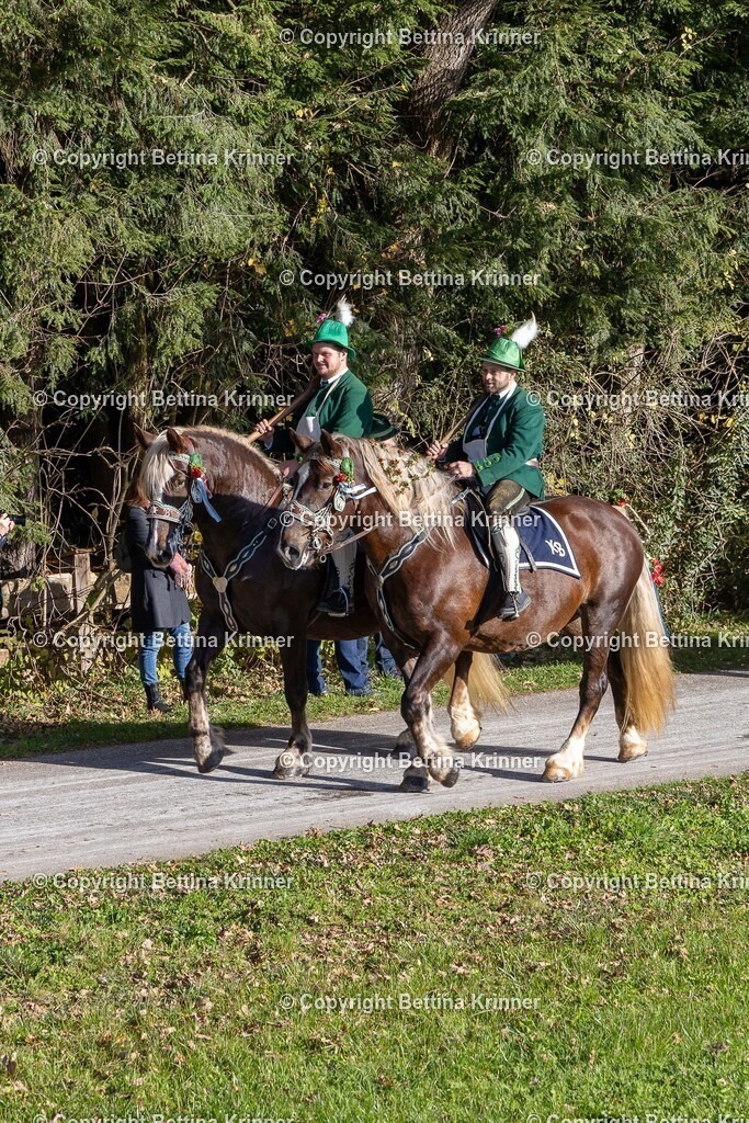 LBT24-535 | foto-bettina-krinner - Realisiert mit Pictrs.com