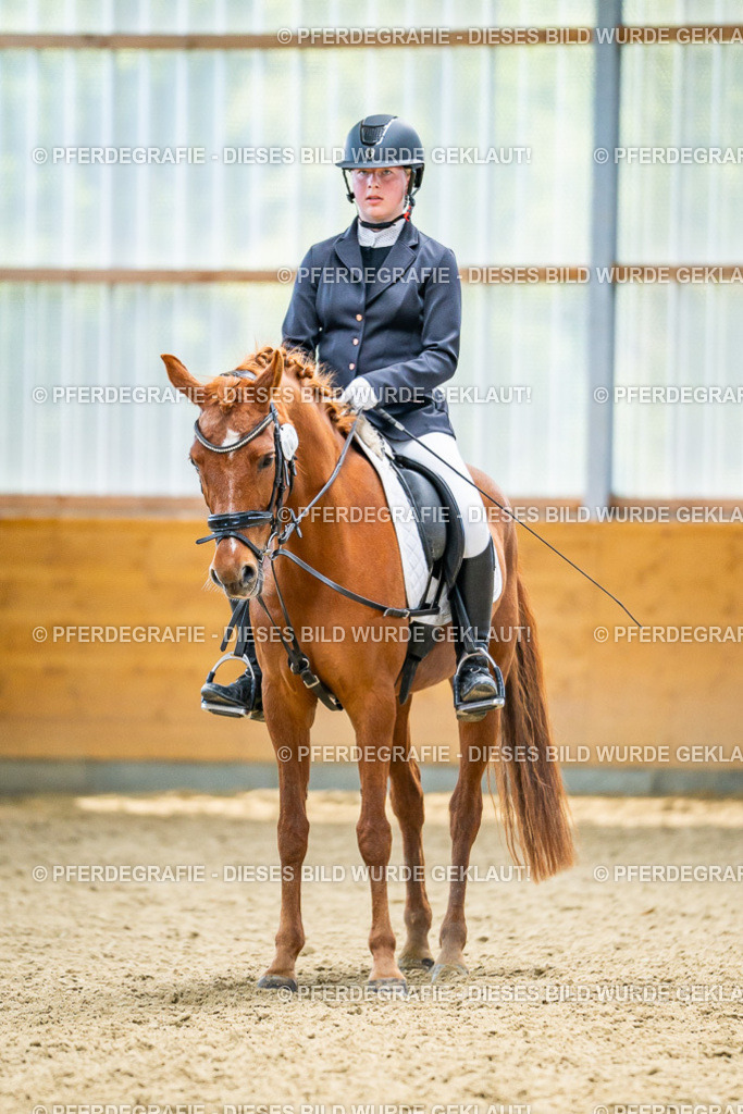 DSC05055 | Pferdegrafie