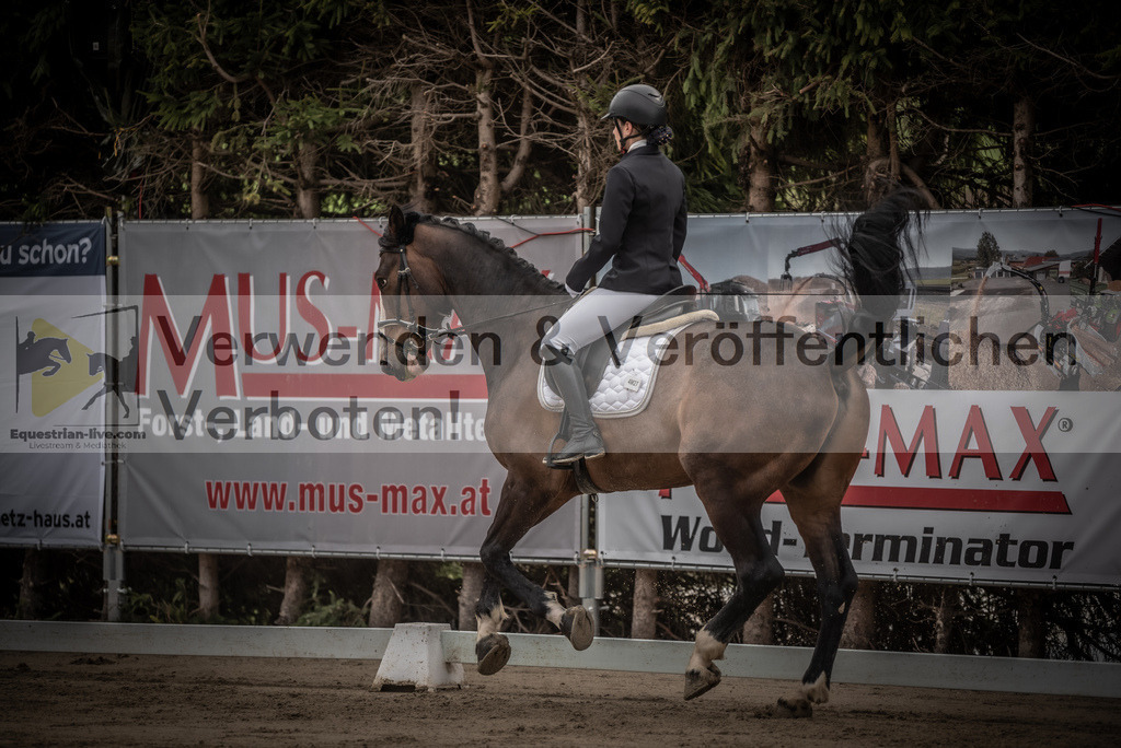 DSC_8339 | equestrian-live-com