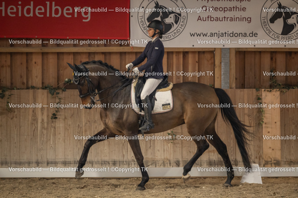 _D5A6641 | Emotionale Pferde- & People-Fotografie rund um Heidelberg, Leimen & Umgebung. Natürliche Fotos von Pferd, Mensch & Familie. Jetzt Termin sichern!