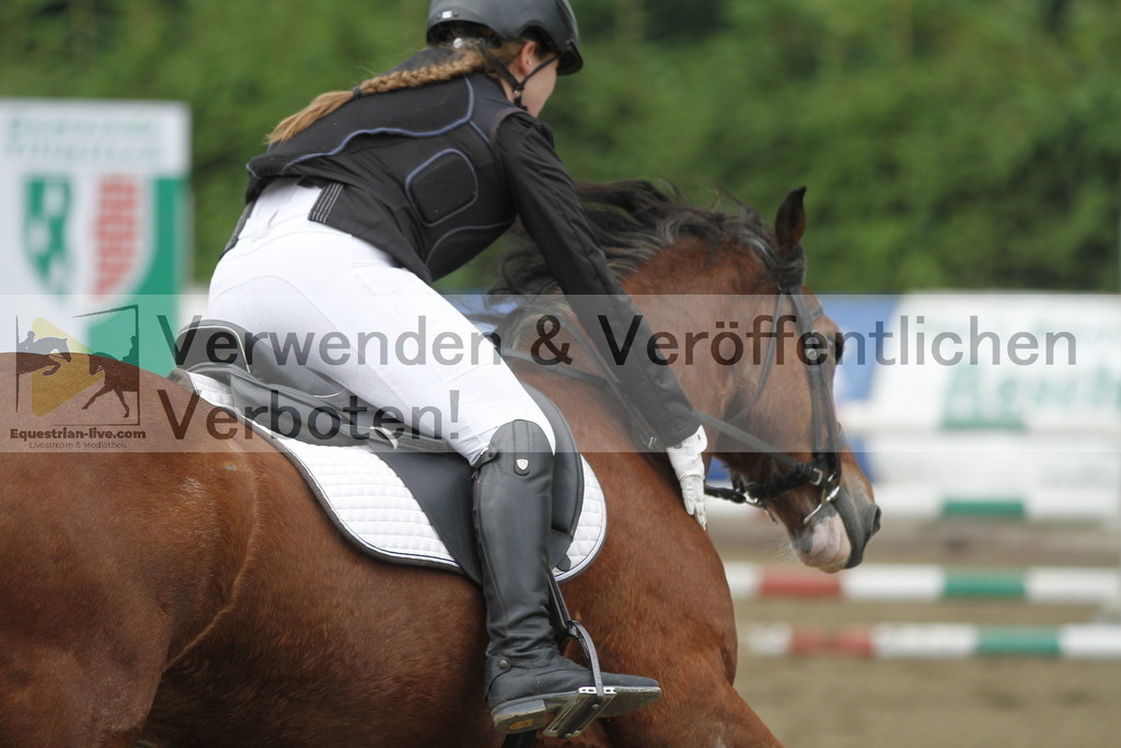 _MG_6874 | equestrian-live-com