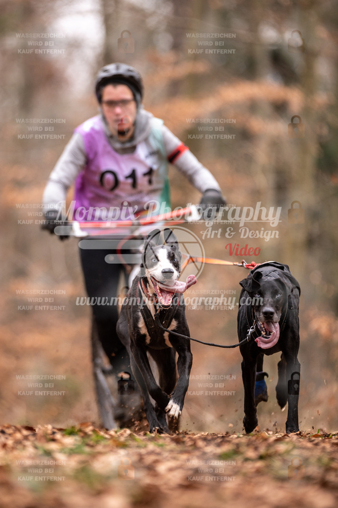 AKM_ST_2023_SAM_DS2-5 | PayLife