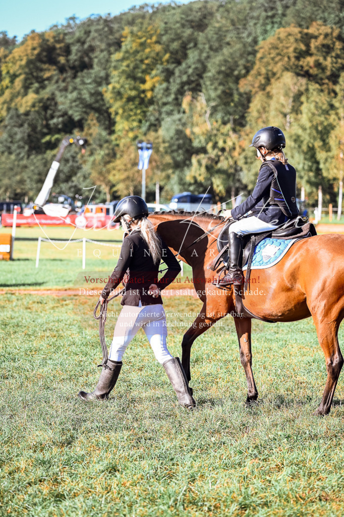 DSC_0217 | Pferde- und Turnierfotografie in Westsachsen. Pferdeportraits, Auftragszeichnungen und intuitive Kunst.