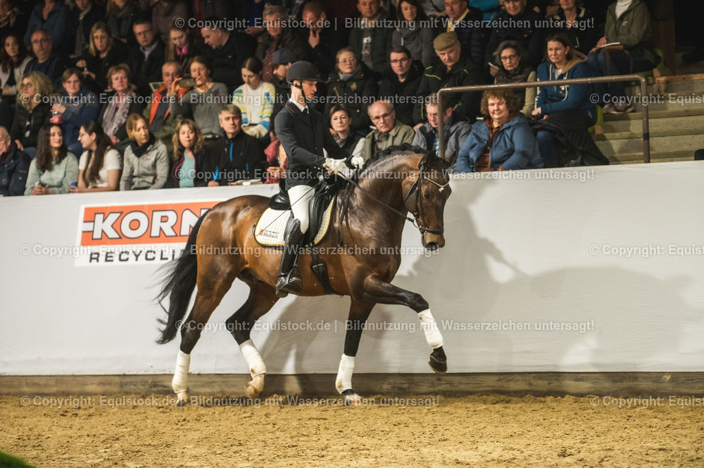 20240302_Hengstvorstellung_Marbach_TOMsPiC_1201 | equistock