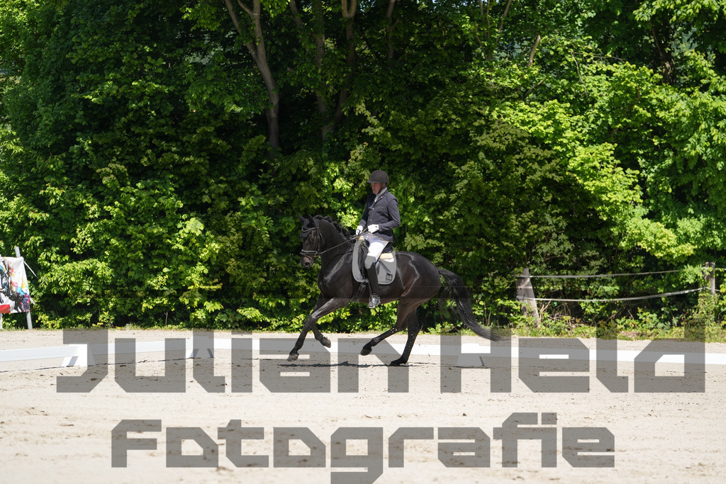 DSC00184 | Julian Held Fotografie - Realisiert mit Pictrs.com