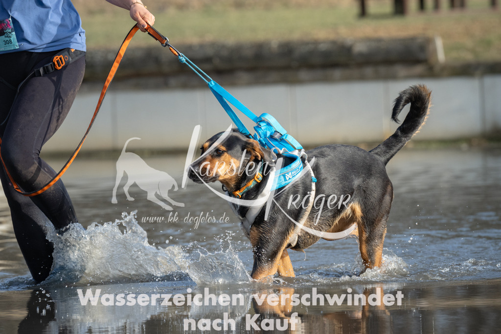 1531_ZZ91779 | kk-dogfotos