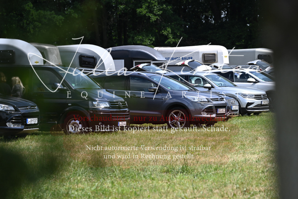 DSC_9546 | Pferde- und Turnierfotografie in Westsachsen. Pferdeportraits, Auftragszeichnungen und intuitive Kunst.