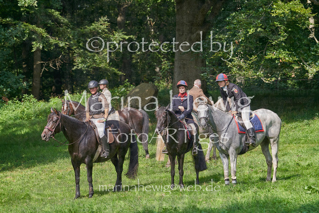 09-23 Jagd Perdöl_MCH0382_Marina Hewig | Fotografie, FotoArt, PferdesportArt, Pferdesportfotografie, Landschaftsfotografie, Reisefotografie, Reise, Pferde - Realisiert mit Pictrs.com