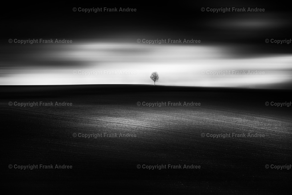Baum auf Hügel | Ein einzelner Baum auf einem kleinen Hügel. Minimalistische Landschaftsfotografie in schwarz und weiß. - Realisiert mit Pictrs.com