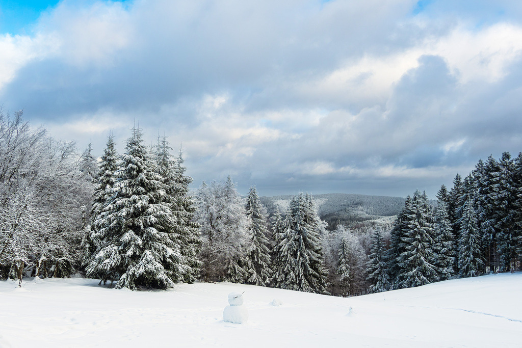 Landschaft im Winter im Thüringer Wald in der Nähe von Schmiedefeld am Rennsteig | Landschaft im Winter im Thüringer Wald in der Nähe von Schmiedefeld am Rennsteig.
