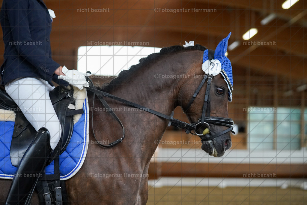 20240825-FAH09459 | Turnierbilder, Reitsportfotos, LAPO, Landesponyturnier, Turnierfotografen Bayern
