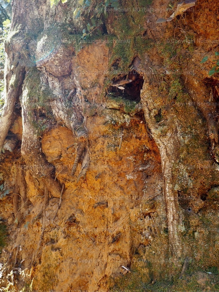 IMG_2917 | OLYMPUS DIGITAL CAMERA          - Realisiert mit Pictrs.com