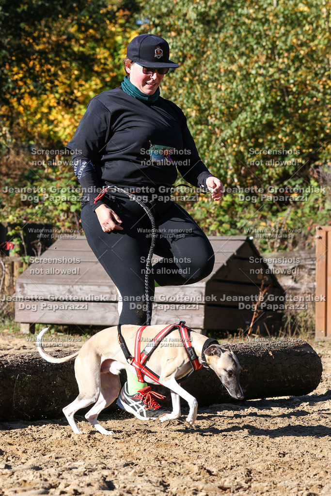 Dog Paparazzi - Strongdog 10-25-2338 | Dog Paparazzi Jeanette Grottendiek Fotografie & Videografie - Realisiert mit Pictrs.com