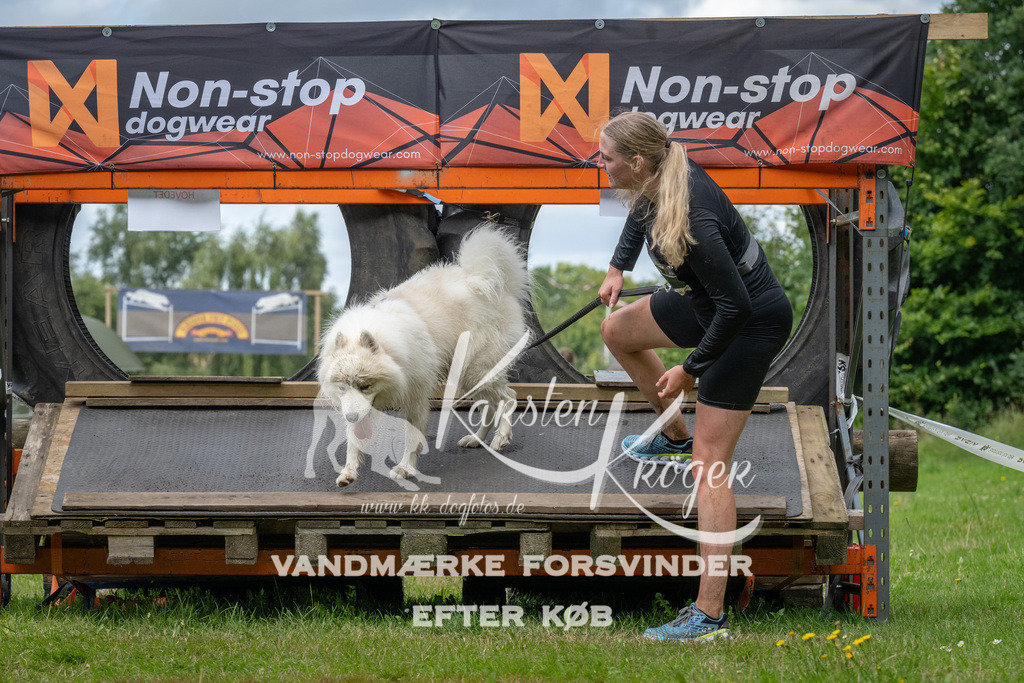 1354_ZZ90653 | kk-dogfotos