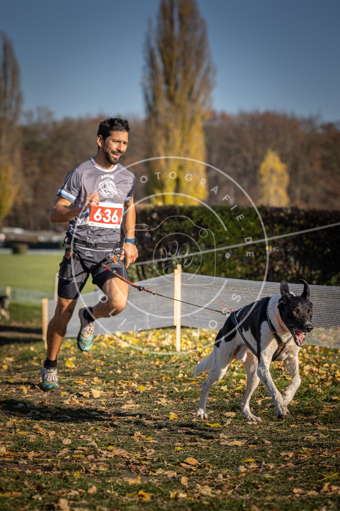 CaniXpix_DV3A0229 | Hundefotografie, Tierfotograf, Pfotenfotografie, Fotoshooting Hund, Hunde Portrait, Hundesport, Hundeportraits, Heideshooting, Hunde, Sportfotograf, Hundefotograf, Turnierhundsport, THS,  - Realisiert mit Pictrs.com
