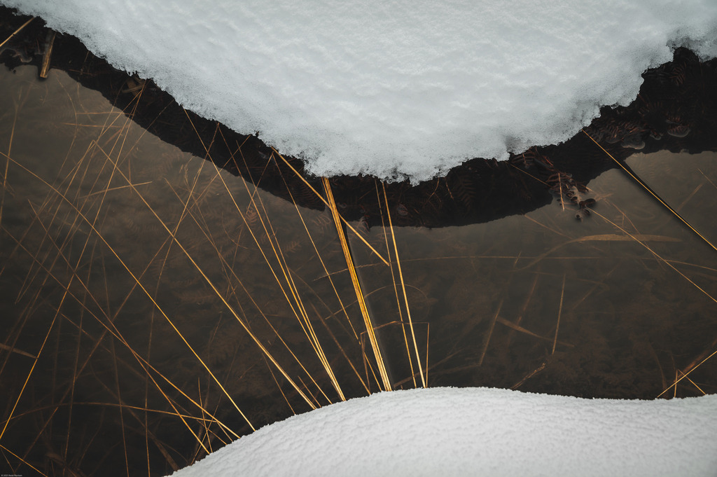 _DSC0425 | renerovisanfotoart.com