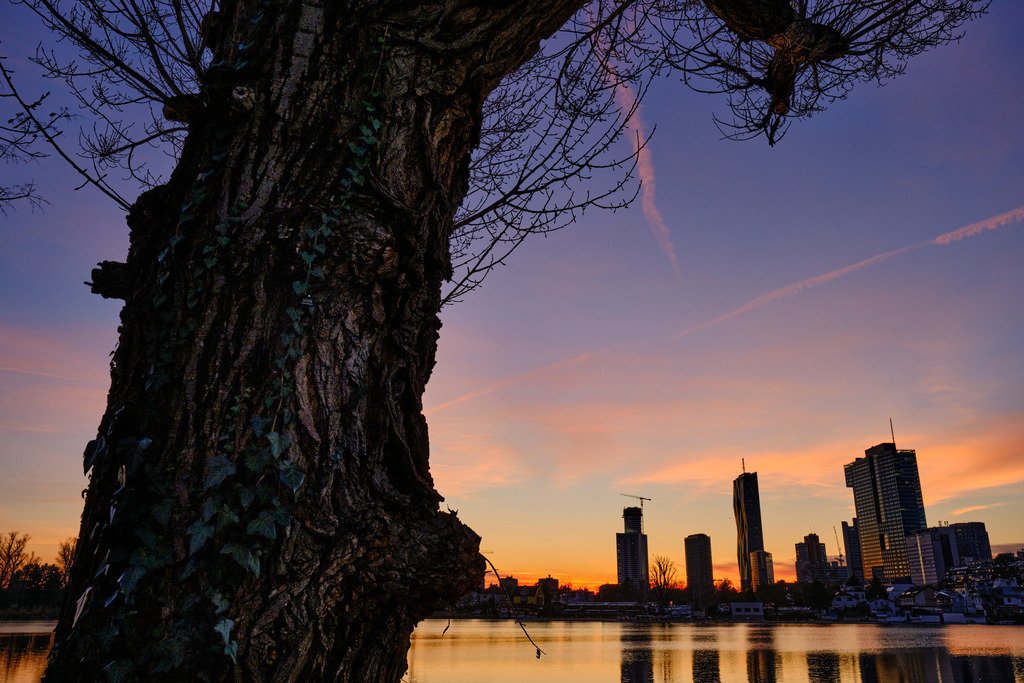 Blick über die Donau auf die Donaucity im Abendrot | Wien, Austria - December 27, 2023: Blick über die Donau auf die Donaucity im Abendrot. - Realisiert mit Pictrs.com