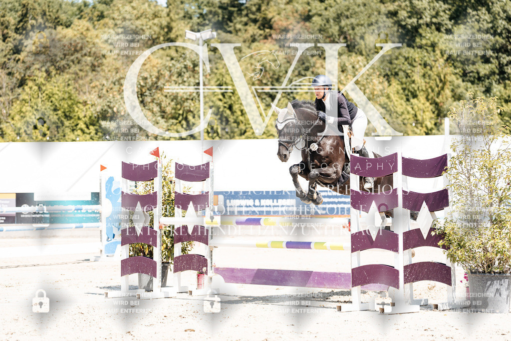 CK900166 | Turnierfotografie Pferdefotografie Trier Rheinland-Pfalz Pferdesport Reitsport Tierfotografie Sportfotografie Pferdevideo Pferdevideografie Equestrianvideography equestrianphotography  - Realisiert mit Pictrs.com