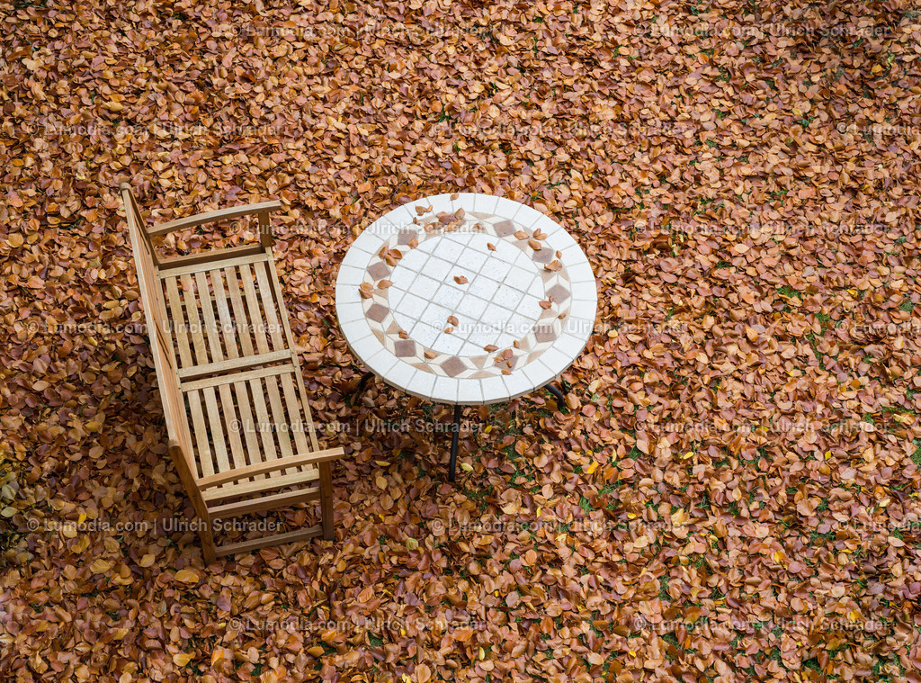 100494-3916 - Herbst im Park | max. Bildgröße A2 | 300dpi - Realisiert mit Pictrs.com