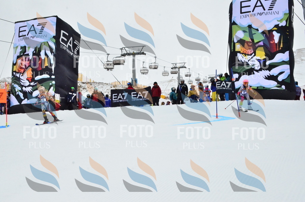 _ELE3282 | holidayphoto