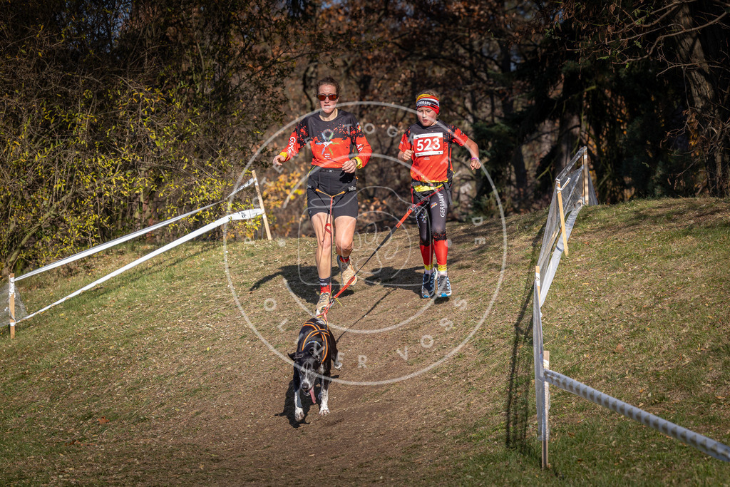 CaniXpix_0L8A8637 | Hundefotografie, Tierfotograf, Pfotenfotografie, Fotoshooting Hund, Hunde Portrait, Hundesport, Hundeportraits, Heideshooting, Hunde, Sportfotograf, Hundefotograf, Turnierhundsport, THS,  - Realisiert mit Pictrs.com