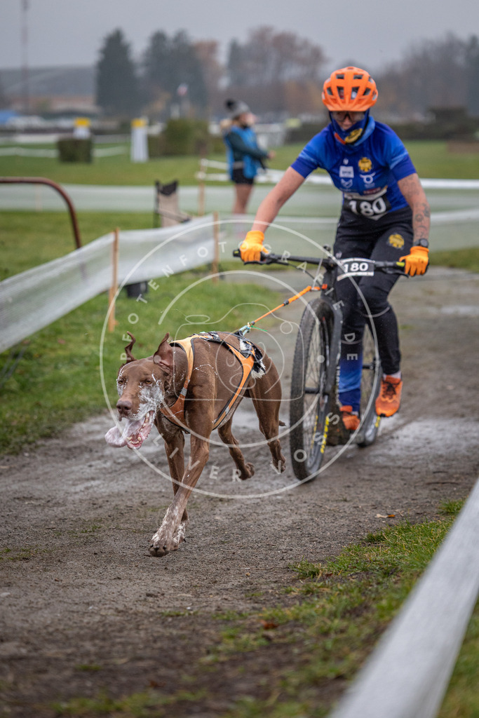 CaniXpix_0L8A0755 | Hundefotografie, Tierfotograf, Pfotenfotografie, Fotoshooting Hund, Hunde Portrait, Hundesport, Hundeportraits, Heideshooting, Hunde, Sportfotograf, Hundefotograf, Turnierhundsport, THS,  - Realisiert mit Pictrs.com